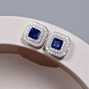 Elegant Blue and Silver Stud Earrings